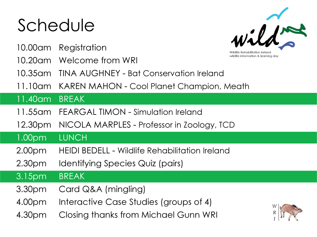 wild 2019 programme