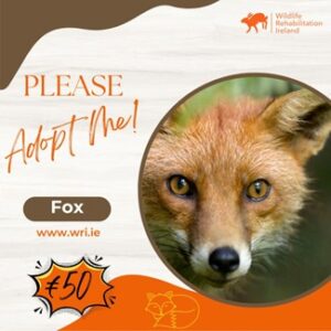 Symbolically Adopt A Fox