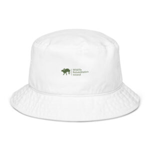 Organic bucket hat