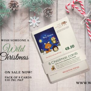 Christmas charity cards. Support Irelands native wildlife.