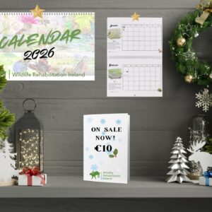 Wildlife Rehabilitation Ireland Charity Calendar 2026 – A Year to Go Wild for Nature